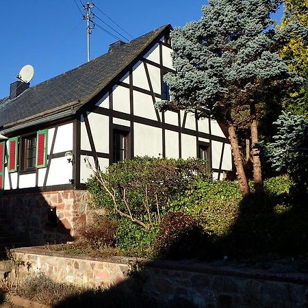 Vakantiehuis Hunsrueck Leisel Kültér fotó