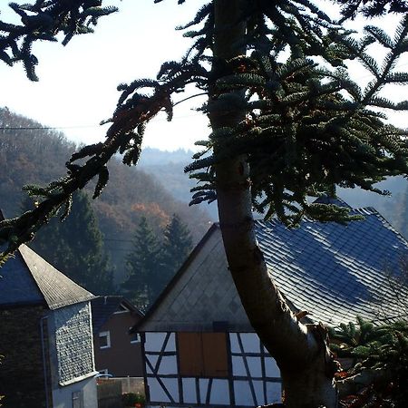 Vakantiehuis Hunsrueck Leisel Kültér fotó