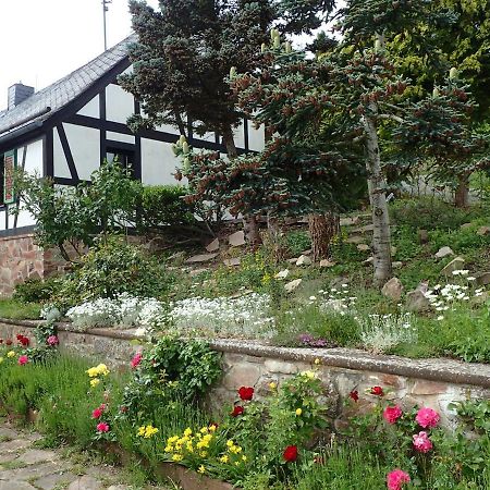Vakantiehuis Hunsrueck Leisel Kültér fotó