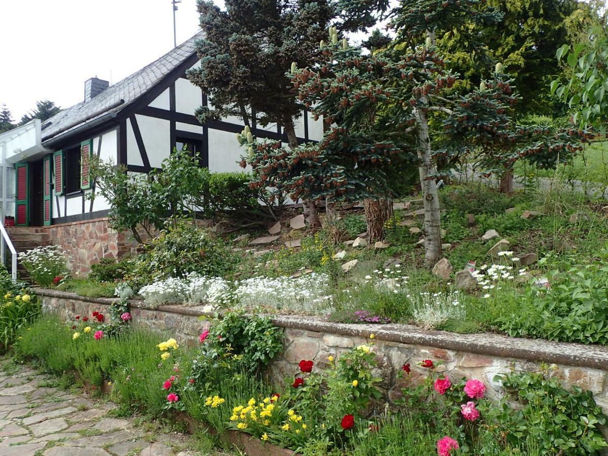 Vakantiehuis Hunsrueck Leisel Kültér fotó